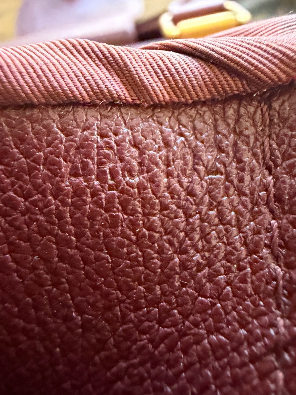 Louis Vuitton Bordeaux Golden Arrow View 2